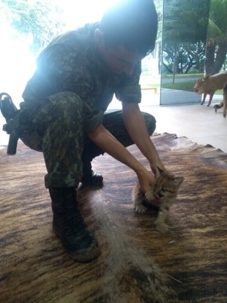 Polícia Ambiental resgata filhote de onça em Flórida Paulista