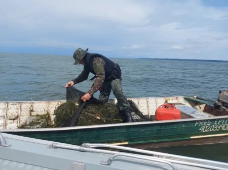 Pescador profissional é multado em R$ 1 mil por irregularidades em Presidente Epitácio