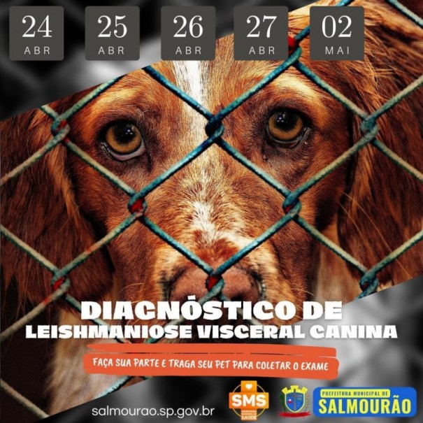 Prefeitura de Salmour�o promove a campanha de combate a leishmaniose canina 