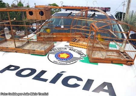 Polícia ambiental aplica multa após encontrar aves em gaiolas em Herculândia