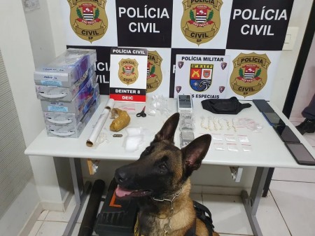 Com apoio de cão farejador, Polícia Civil apreende 39 porções de crack e maconha, em Presidente Prudente