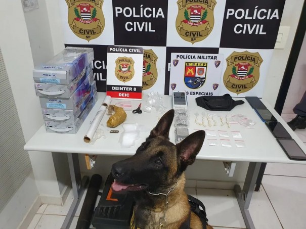 Com apoio de c�o farejador, Pol�cia Civil apreende 39 por��es de crack e maconha, em Presidente Prudente