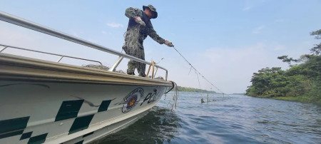 FiscalizaÃ§Ã£o apreende 700 metros de redes de pesca irregulares e devolve 15kg de tucunarÃ©s ao Rio ParanÃ¡