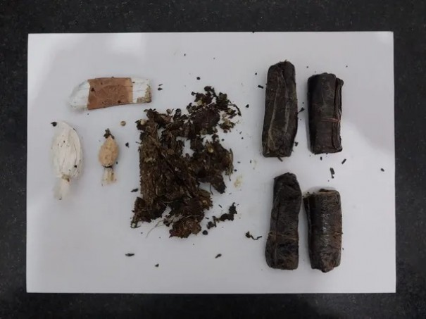 Visitantes tentam entrar em penitenci�rias do Oeste Paulista com entorpecentes escondidos na regi�o �ntima e placas de aparelho celular