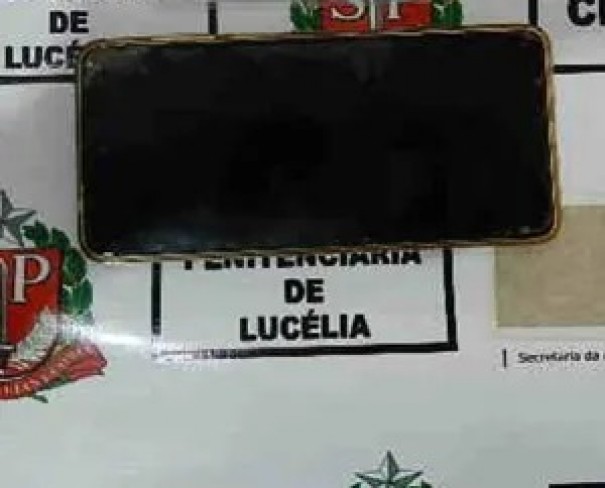 Mulher fica proibida de visitar pres�dios ap�s tentar entrar com celular na Penitenci�ria de Luc�lia