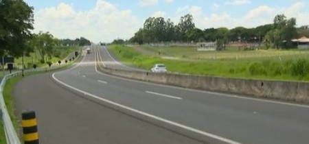 Quatro cavalos morrem após colisão contra caminhão na Rodovia Assis Chateaubriand, em Presidente Prudente