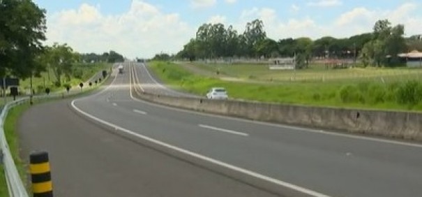 Quatro cavalos morrem ap�s colis�o contra caminh�o na Rodovia Assis Chateaubriand, em Presidente Prudente