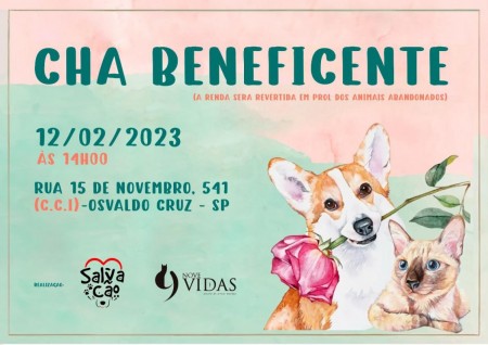 Ongs de proteção animal Salvacão e 9 Vidas realizam Chá Beneficente neste final de semana