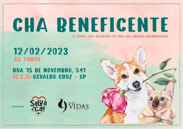 Ongs de prote��o animal Salvac�o e 9 Vidas realizam Ch� Beneficente neste final de semana