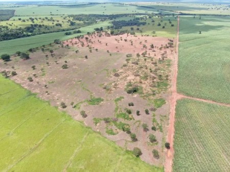 Após o corte de 158 árvores, fazenda é autuada em mais de R$ 55 mil por degradação de vegetação nativa em Rancharia