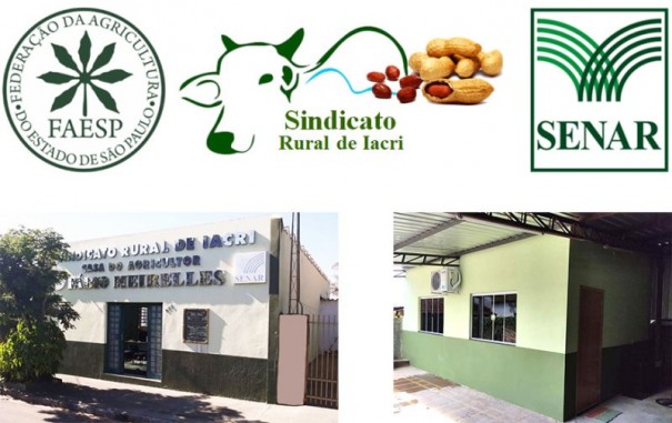 Sindicato rural de Iacri realizar curso de apicultura - implantao do apirio