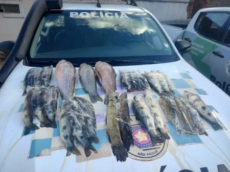 Homem é multado em R$ 1,3 mil por transporte irregular de peixes, em Pacaembu