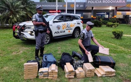Passageiros de ônibus são presos com tijolos de maconha escondidos em malas na rodovia Marechal Rondon