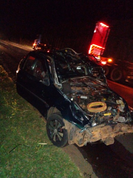 Homem morre depois de atropelar animais que estavam soltos na SP-425, em Rinópolis