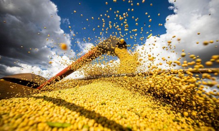 Produção de grãos chegará a 390 milhões de toneladas em 10 anos