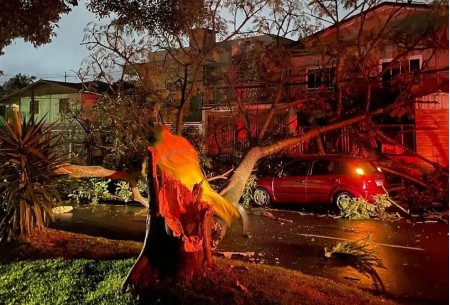 5 cidades decretam situação de emergência e mais de 80 relatam estragos após ciclone em SC