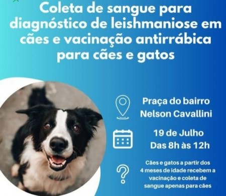 OC realiza nova etapa de vacina contra a raiva animal e coleta de sangue para diagnóstico de leishmaniose 