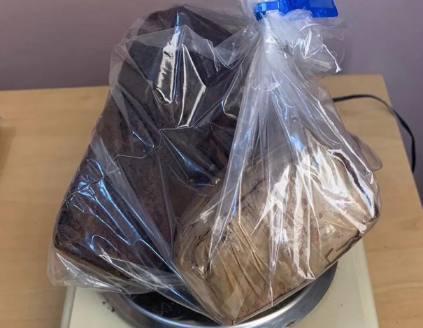 Moradora aciona Pol�cia Militar ap�s cachorro de estima��o desenterrar por��o de maconha do quintal, em Pacaembu