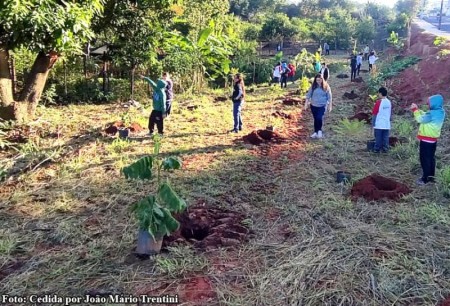 Polícia Ambiental orienta alunos durante plantio de mudas nativas em Bastos