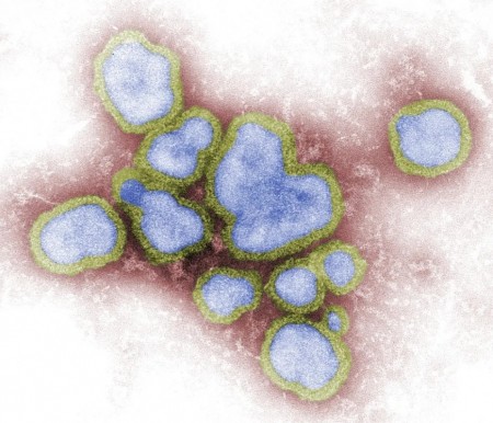 Marília confirma primeira morte por Influenza em 2023