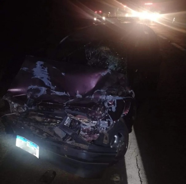 Motorista morre aps o coliso traseira de veculo com caminho em Pederneiras