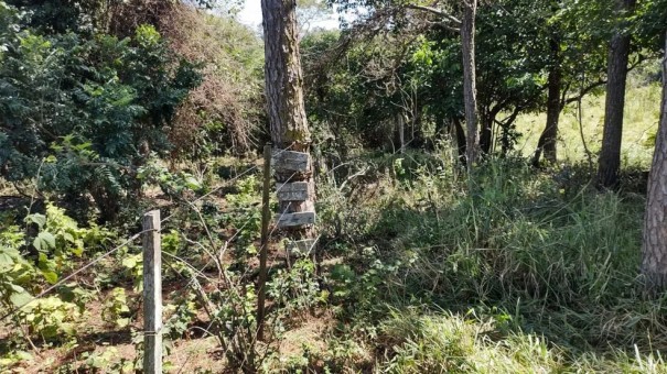 Assentado  multado em mais de R$ 8,7 mil por utilizar rea de reserva ambiental ilegalmente, em Sandovalina