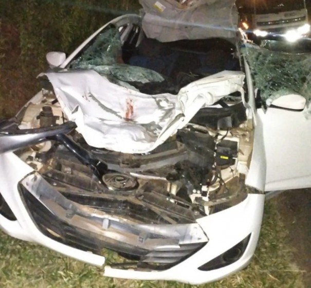 Motorista fica gravemente ferido ap�s atropelar uma vaca na Rodovia Assis Chateaubriand, em Martin�polis