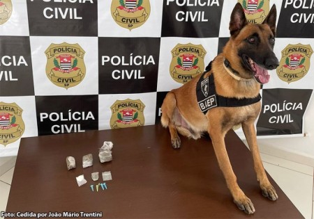 Morador de Tupã é preso após maconha e cocaína serem apreendidas em residência