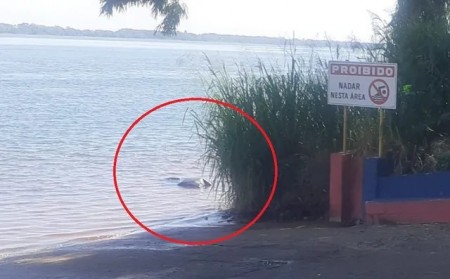 Corpo de homem é encontrado no Rio Paraná, em Paulicéia