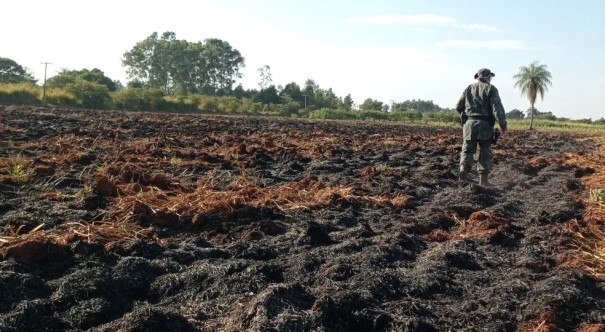 Assentada � autuada em R$ 1,1 mil por fazer uso de fogo em �rea de vegeta��o de mais de 1 hectare, em Rosana