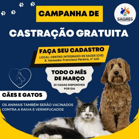Sagres desenvolve trabalho de castração gratuita de cães e gatos 