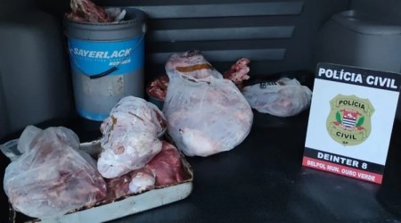 Polícia Civil identifica autores de furto de gado e recupera parte de carne, em Ouro Verde