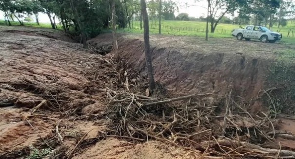 Idoso recebe multa de quase R$ 20 mil ap�s danificar �rea de Preserva��o Permanente em Presidente Prudente