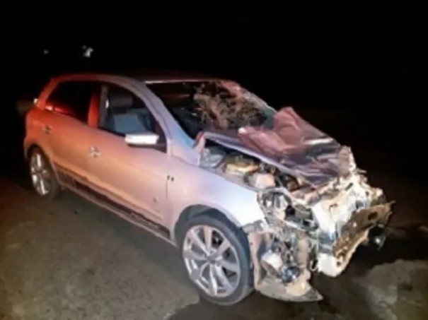 Carro fica destru�do ao se envolver em atropelamento de bovinos na Rodovia Engenheiro Byron de Azevedo Nogueira, em Dracena