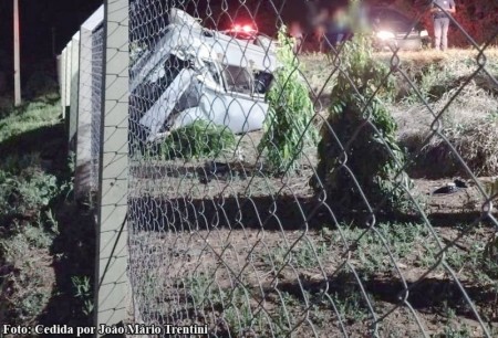 Cachorro na pista provoca acidente na Vicinal que liga Tupã a Juliânia