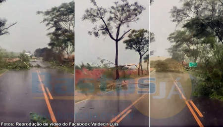 Chuva e vento forte interdita trÃ¡fego de veÃ­culos em vicinal que liga Bastos a SP-425