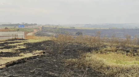 Queimada atinge fazenda Ã s margens de rodovia em MarÃ­lia