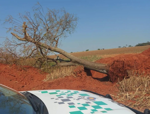 Fiscalização identifica derrubada irregular de árvores e aplica multas de R$ 4,8 mil contra fazendeiro e empresário em Taciba