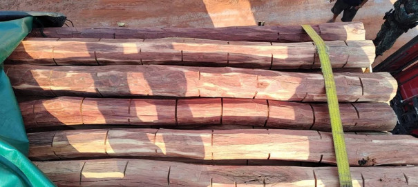 Idoso é multado em R$ 10,8 mil por apresentar documentação de madeira vencida, em Presidente Venceslau