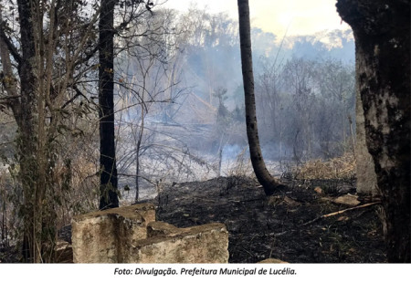 IncÃªndio de grandes proporÃ§Ãµes atinge vegetaÃ§Ã£o no Salto Botelho em LucÃ©lia