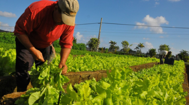 Tupã decreta estado de emergência devido à estiagem que afeta agricultores