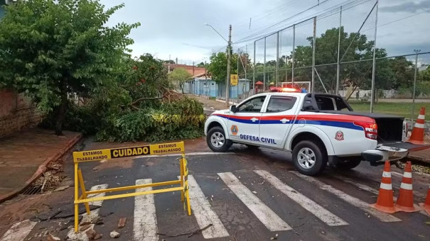 Com fortes rajadas de vento, temporal causa estragos e derruba árvores em Junqueirópolis