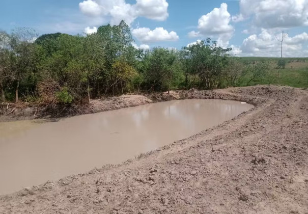 Fazendeiro é multado após destruir vegetação nativa para construção de um tanque, em Adamantina