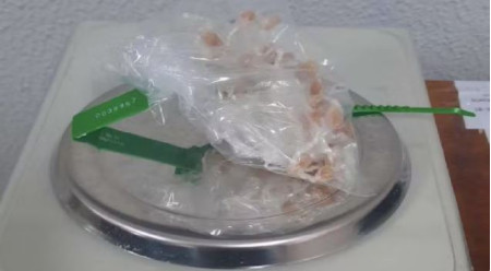 Jovem que vendia crack prÃ³ximo a unidade de saÃºde Ã© preso depois de arremessar sacola com mais de 50 porÃ§Ãµes da droga, na Cohab