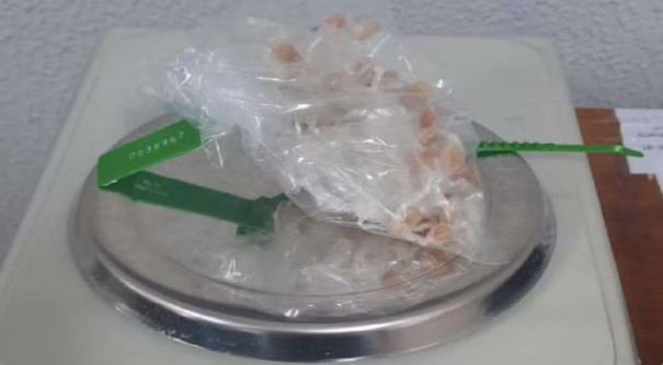 Jovem que vendia crack próximo a unidade de saúde é preso depois de arremessar sacola com mais de 50 porções da droga, na Cohab