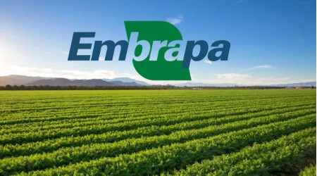 Embrapa propÃµe polÃ­ticas para reaproveitamento de pastagens degradadas