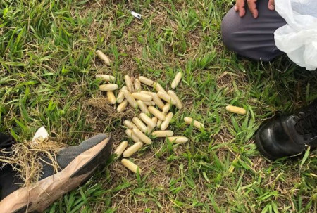 Oito bolivianos sÃ£o presos por trÃ¡fico de drogas apÃ³s ingerirem cÃ¡psulas de cocaÃ­na