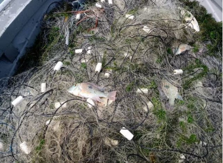 FiscalizaÃ§Ã£o apreende 600 metros de redes de pesca armadas de forma irregular no Rio ParanÃ¡, em Panorama