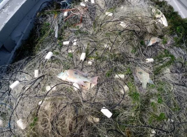 Fiscalização apreende 600 metros de redes de pesca armadas de forma irregular no Rio Paraná, em Panorama