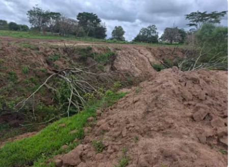 Idoso Ã© multado em mais de R$ 9,5 mil por degradar Ãrea de PreservaÃ§Ã£o Permanente, em Alfredo Marcondes